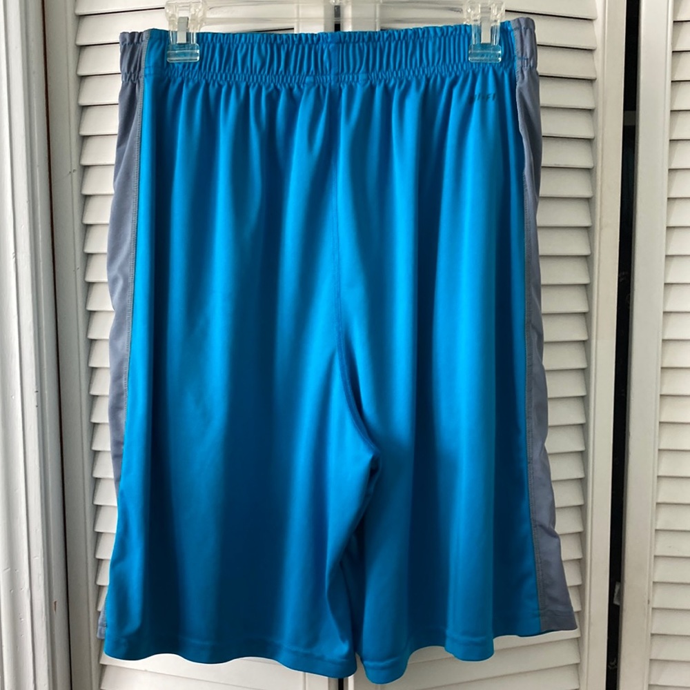 Nike Dry fit shorts